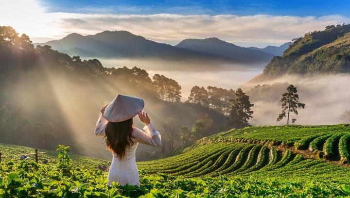 Sự Bùng Nổ Của Video Ngắn và Trí Tuệ Nhân Tạo: Vai Trò Thiết Yếu Của Đào Tạo Kỹ Năng Sáng Tạo Nội Dung_Hotspot Matrix Vietnam Agents