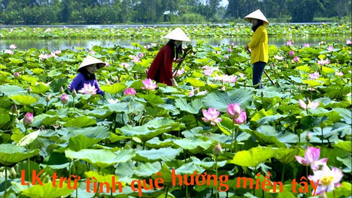 Chuyên gia Hotspot Matrix phân tích: 5 kiểu áo blouse dễ “dừ” hơn và marketing video_Thiết kế Cover
