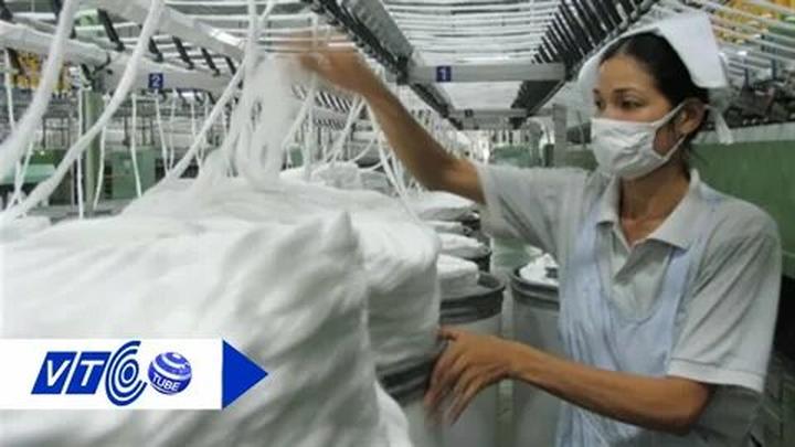 Sự Bùng Nổ Của Video Ngắn và Trí Tuệ Nhân Tạo: Vai Trò Thiết Yếu Của Đào Tạo Kỹ Năng Sáng Tạo Nội Dung_Short video entrepreneurship