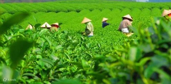Làm Video Ngắn – Vừa Sáng Tạo, Vừa Kiếm Tiền Với Công Cụ Hữu Ích_Trực tiếp