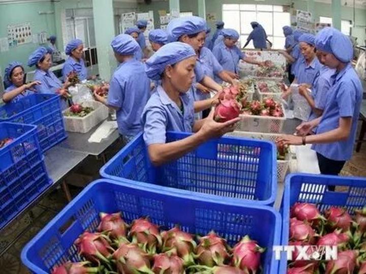 Cách Khởi Nghiệp Kiếm Tiền Bán Thời Gian Dành Cho Người Mới_Biên tập video